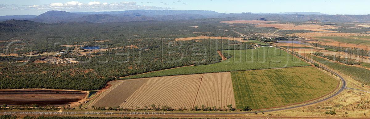 Peter Bellingham Photography Lakeland Farm - QLD (PBH4 00 14317)